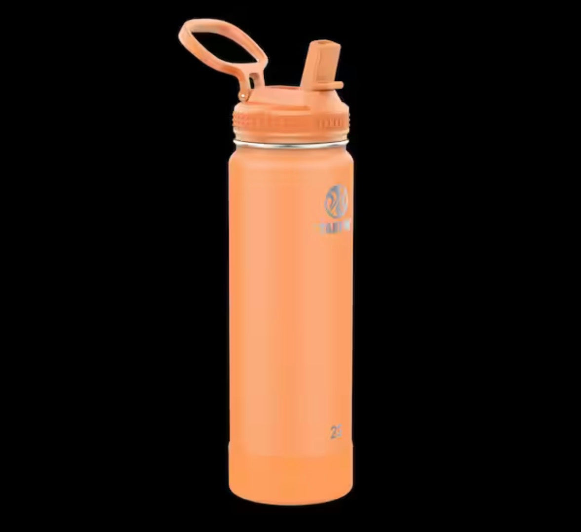 22oz Actives Stainless Steel Tart Orange Water Bottle with Straw Lid