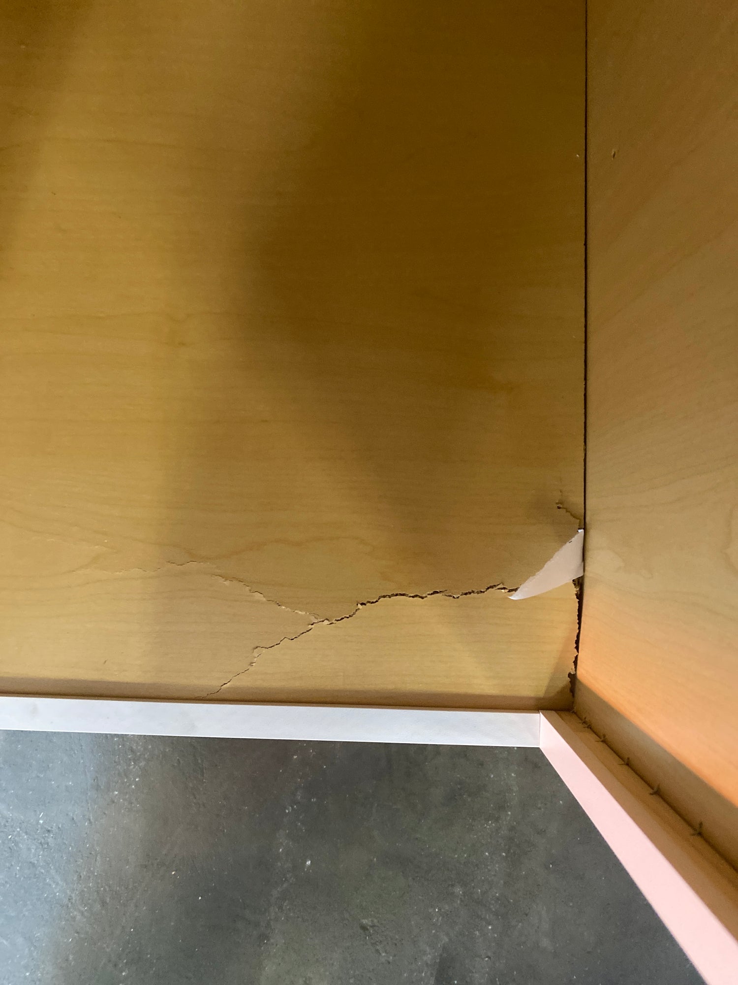 Hampton 18 in. W x 24 in. D x 84 H Assembled Pantry Kitchen Cabinet in Satin White