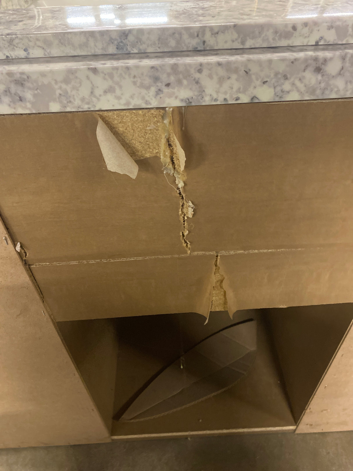 Winsome 48 in. Bath Vanity Cabinet with Cultured Marble Top in Sand