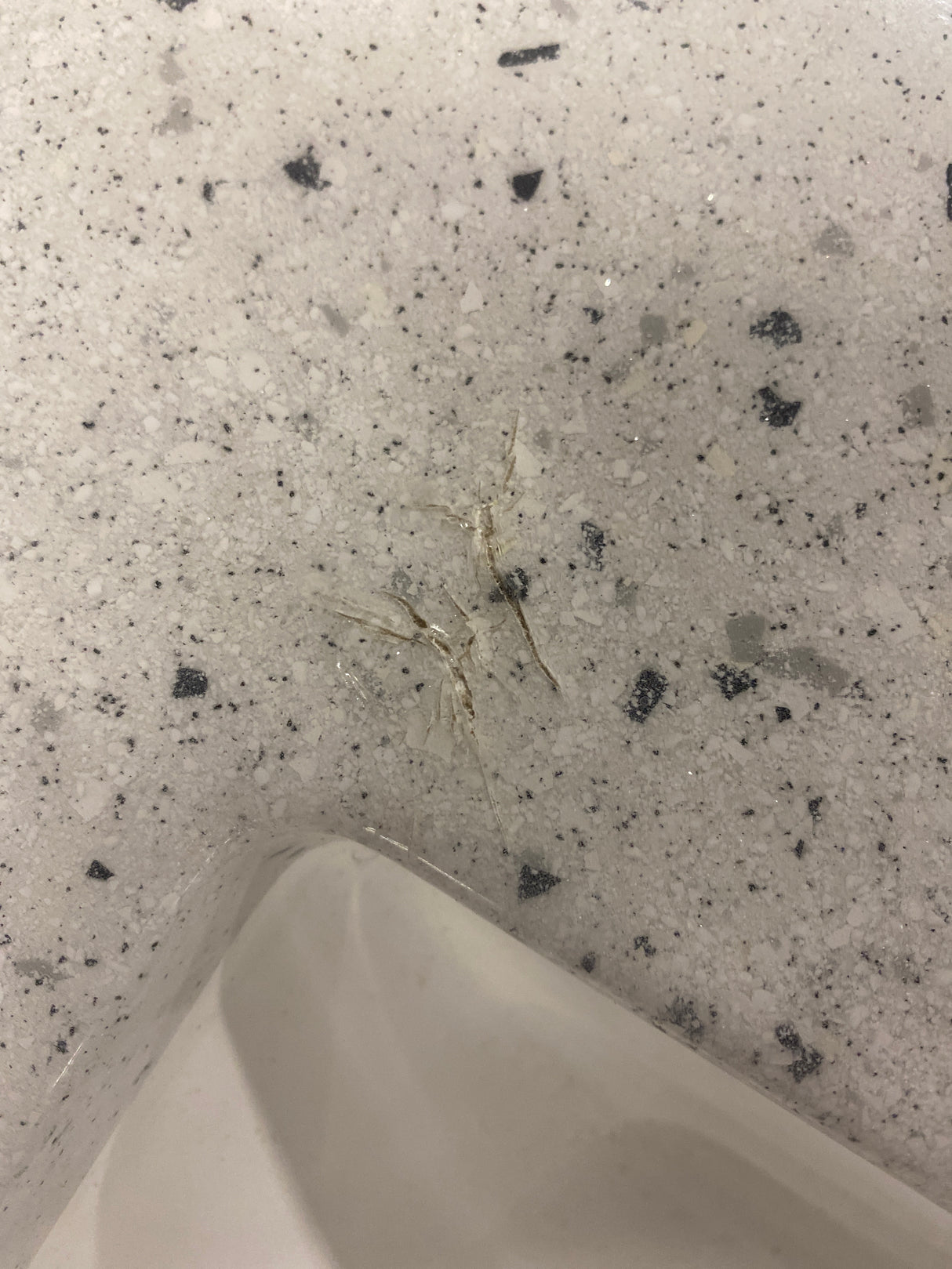 Clady 31 in. W x 19 in. D x 35 in. H Single Sink Freestanding Bath Vanity in White with Silver Ash Cultured Marble Top