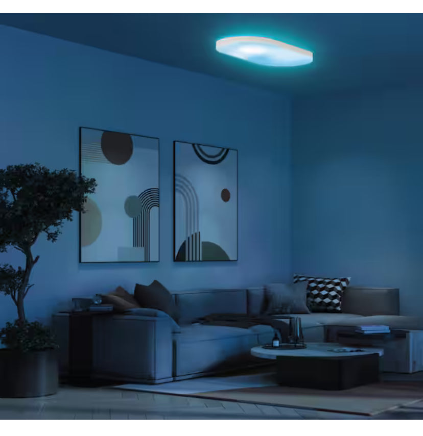 26 in. Oval Capsule Smart White Multi-Color WiFi Selectable LED Flush Mount Ceiling Light Works Alexa/Hey Google/HomeKit