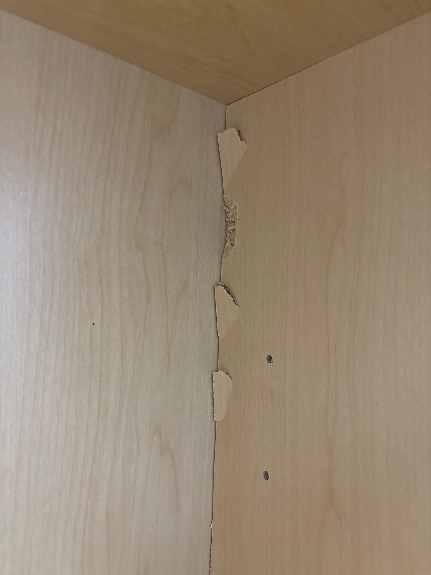 Hampton 24 in. W x 12 in. D x 30 in. H Assembled Wall Kitchen Cabinet in Satin White