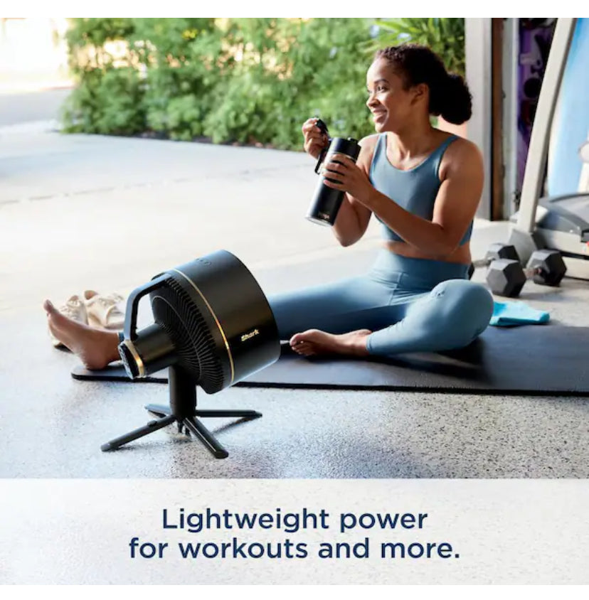 FlexBreeze 13in. Portable 5 Fan Speeds Pedestal Fan in Dark Grey with Up to 24 hours of Cordless Run