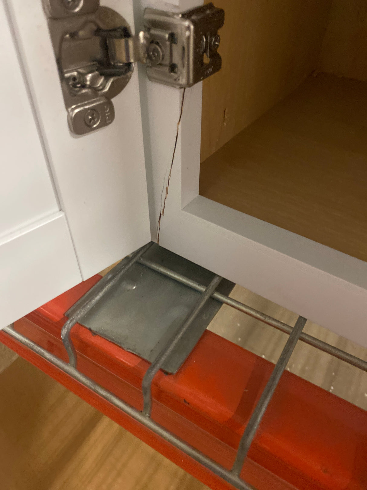 Courtland Polar White Finish Laminate Shaker Stock Assembled Wall Kitchen Cabinet 12 in. x 36 in. x 12 in.