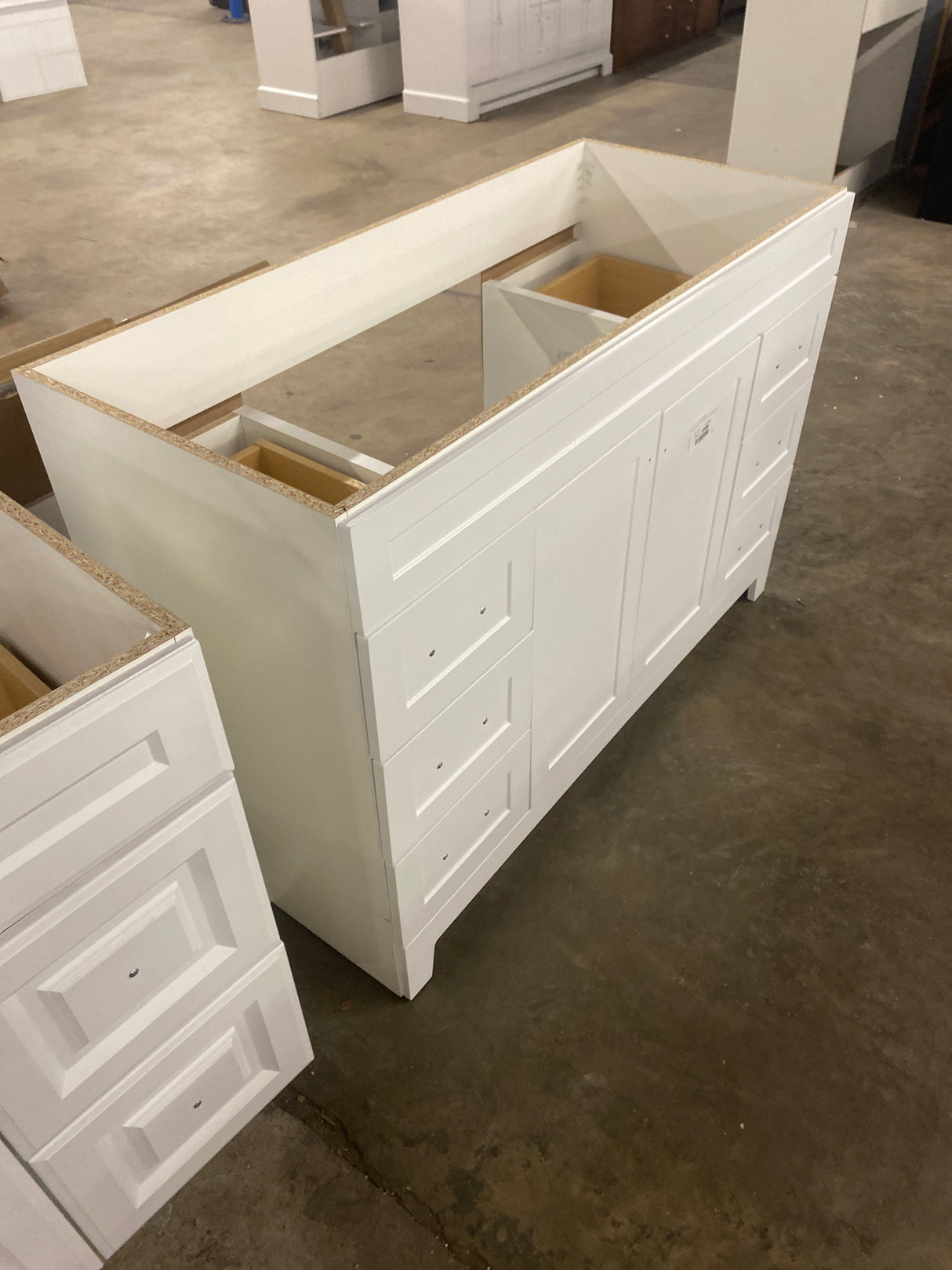 Thornbriar 48 in. W x 22 in. D x 34 in. H Bath Vanity Cabinet without Top in Polar White