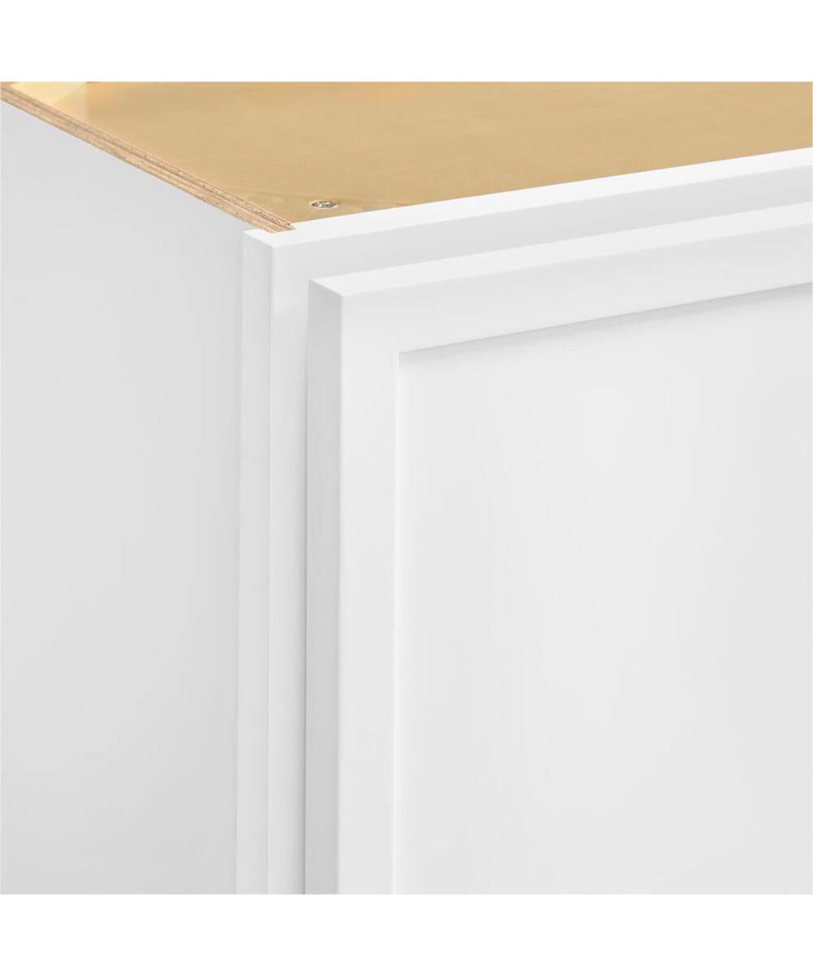 Leyton 24 in. W x 12 in. D x 36 in. H Ready to Assemble Plywood Slim Shaker Wall Kitchen Cabinet in Alpine White