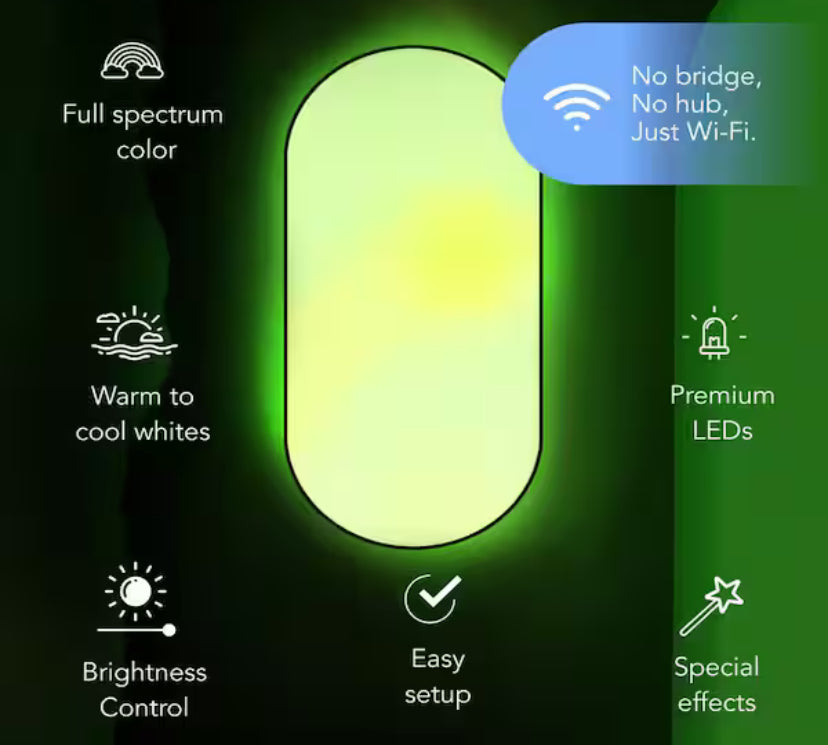 26 in. Oval Capsule Smart Black Multi-Color WiFi Selectable LED Flush Mount Ceiling Light Works Alexa/Hey Google/HomeKit