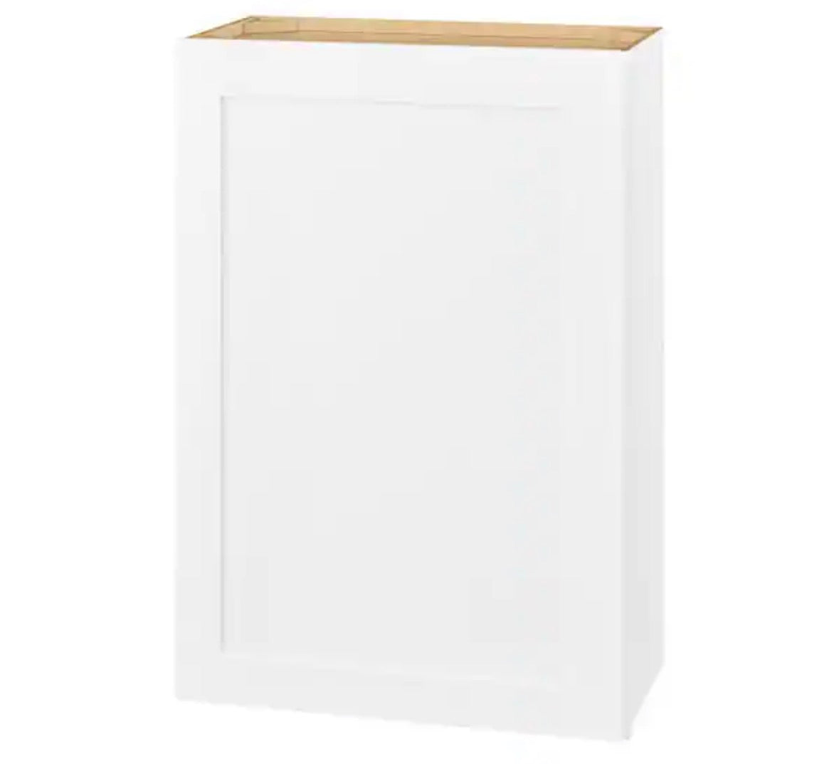 Avondale 24 in. W x 12 in. D x 36 in. H Ready to Assemble Plywood Shaker Wall Kitchen Cabinet in Alpine White