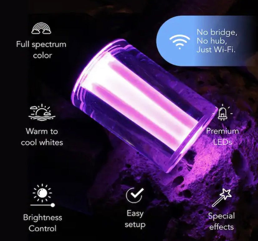 12-Light 24 ft. Outdoor Plug-In RGB Integrated LED Smart Wi-Fi String Light, Works with Alexa/Hey Google/HomeKit/Siri