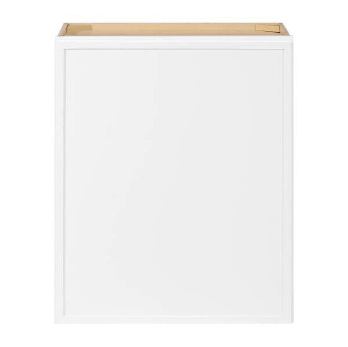 Leyton 24 in. W x 12 in. D x 30 in. H Ready to Assemble Plywood Slim Shaker Wall Kitchen Cabinet in Alpine White
