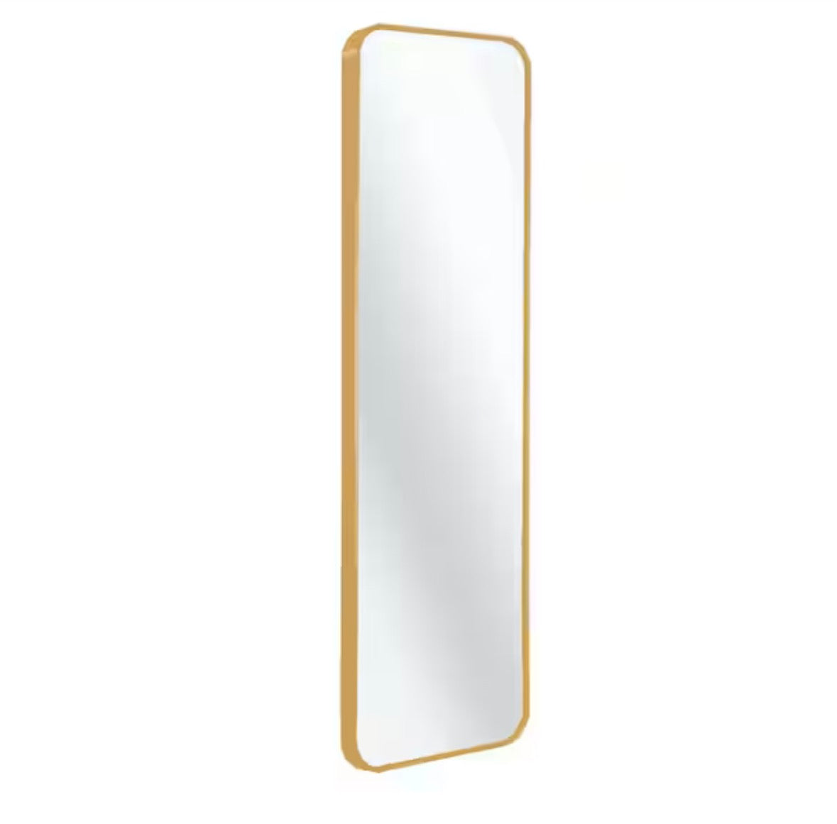 Gold 14 in. W x 47 in. H Rectangular Metal Framed Modern Door mirror