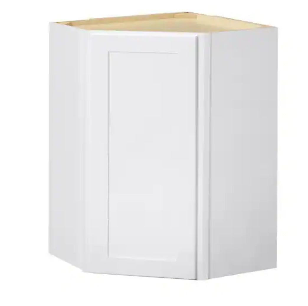 Avondale Shaker Alpine White Ready to Assemble Plywood 24 in Wall Corner Kitchen Cabinet (24 in W x 30 in H x 24 in D)