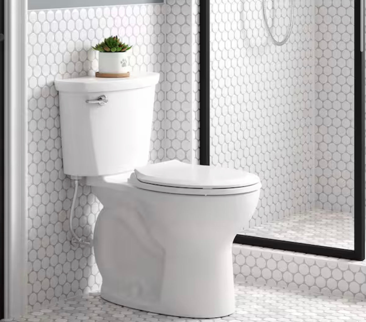 Cadet 10 in. Antimicrobial 2-Piece 1.28 GPF Single Flush Chair Height Round Toilet with Slow Close Seat in White