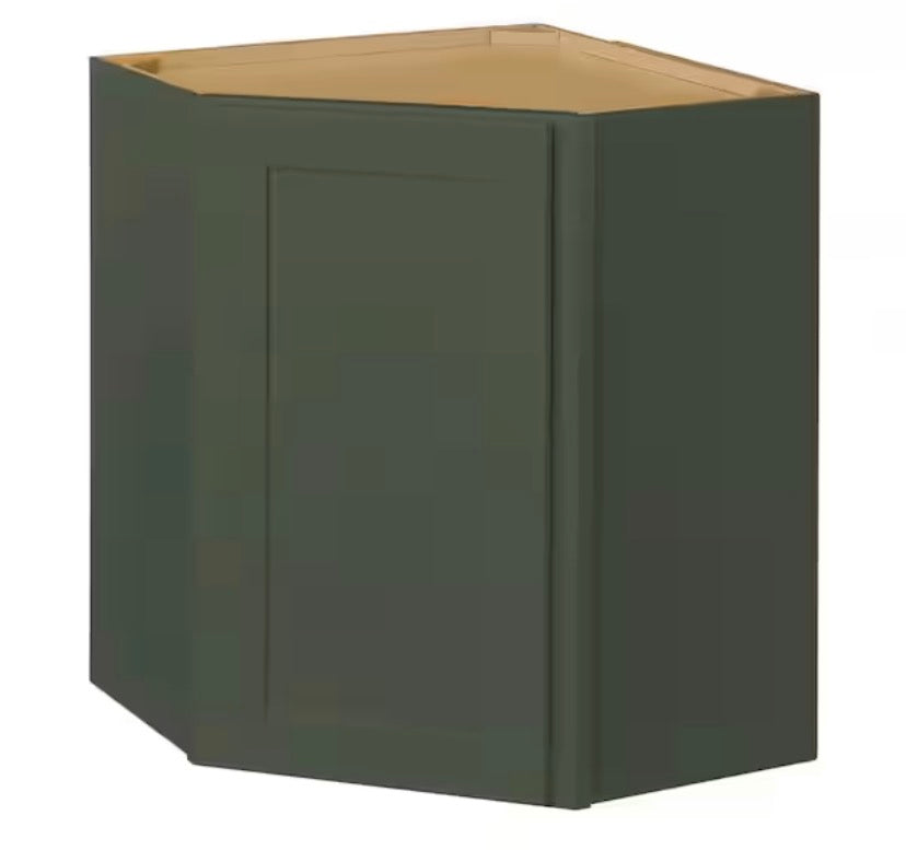 Avondale 24 in. W x 24 in. D x 30 in. H Ready to Assemble Plywood Shaker Diagonal Corner Kitchen Cabinet in Fern Green