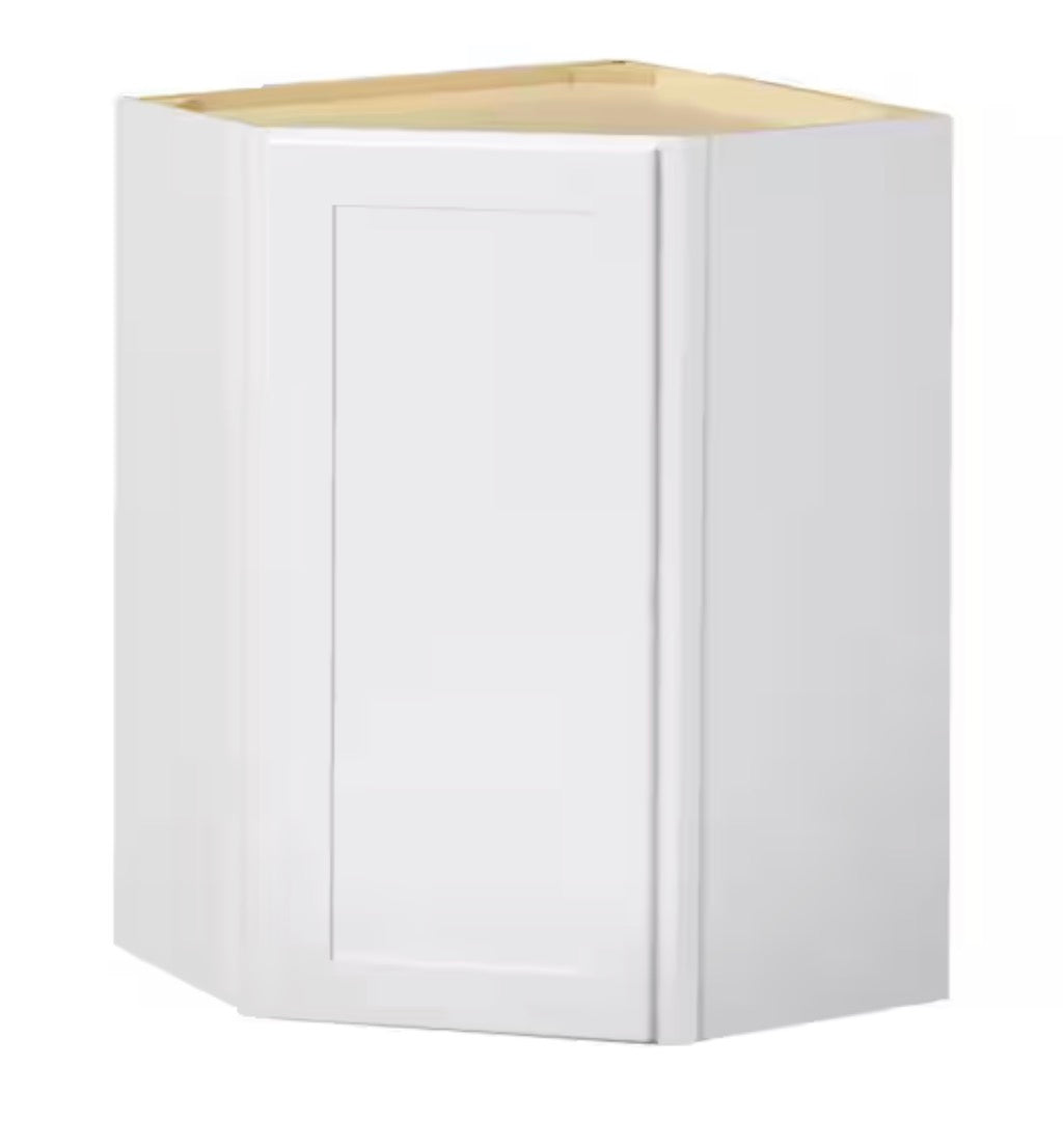 Avondale Shaker Alpine White Ready to Assemble Plywood 24 in Wall Corner Kitchen Cabinet (24 in W x 30 in H x 24 in D)