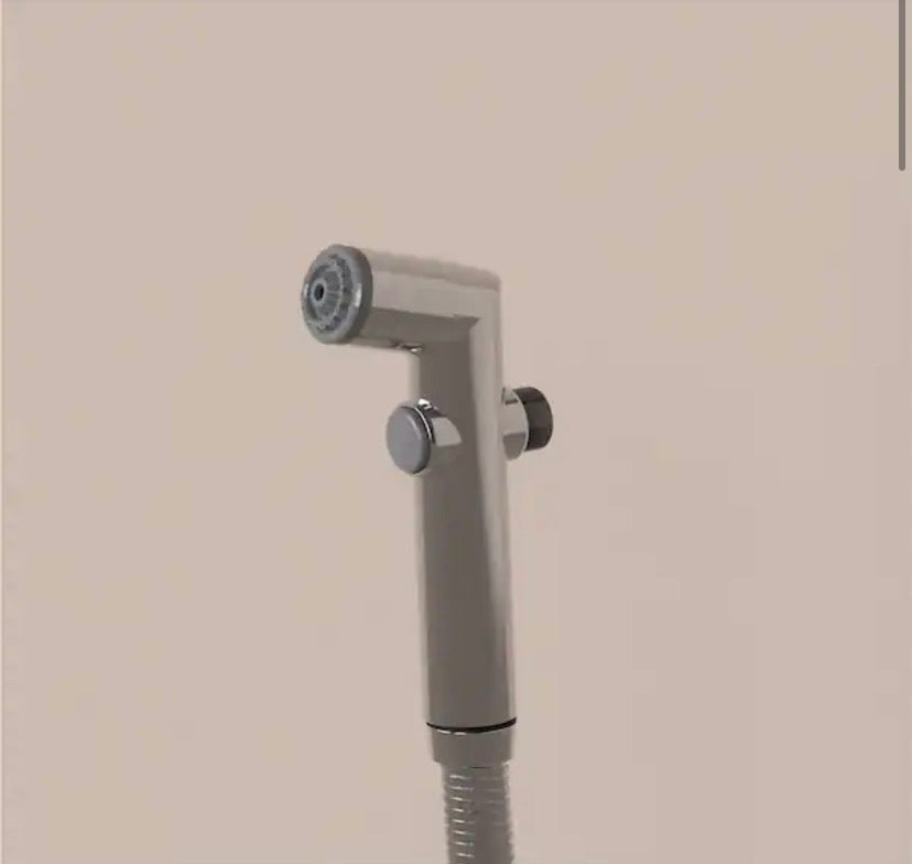 CleanSpa Hand Held Bidet in Silver