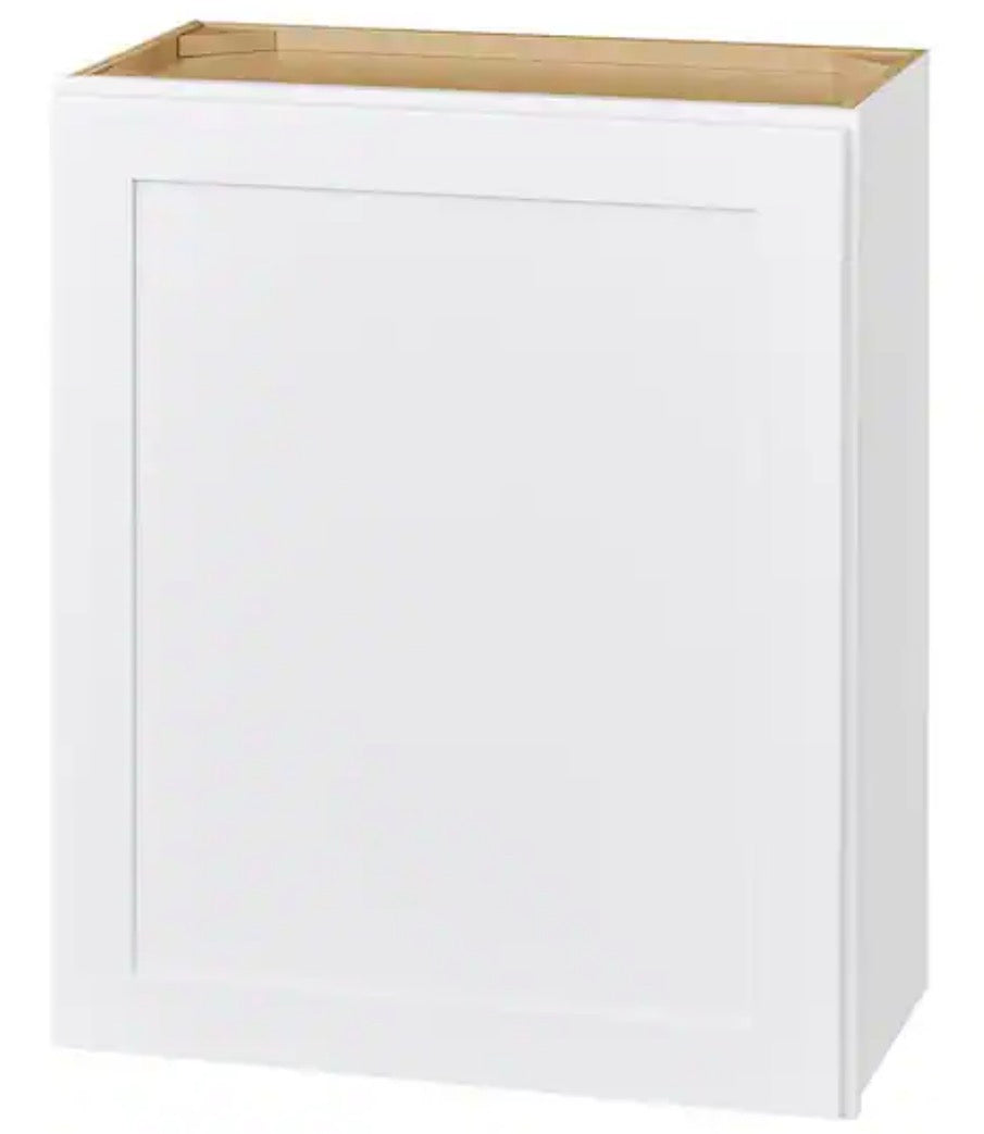 Avondale 24 in. W x 12 in. D x 30 in. H Ready to Assemble Plywood Shaker Wall Kitchen Cabinet in Alpine White