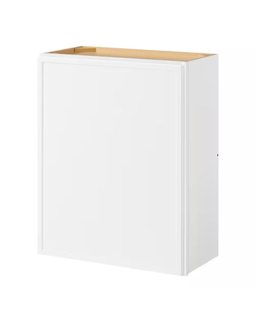 Leyton 24 in. W x 12 in. D x 30 in. H Ready to Assemble Plywood Slim Shaker Wall Kitchen Cabinet in Alpine White