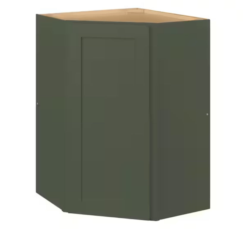 Avondale 24 in. W x 24 in. D x 36 in. H Ready to Assemble Plywood Shaker Diagonal Corner Kitchen Cabinet in Fern Green