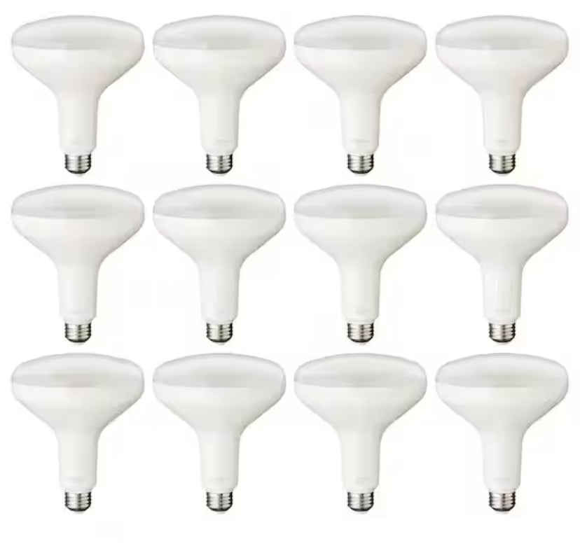 75-Watt Equivalent BR40 Dimmable LED Light Bulb Daylight (12-Pack)