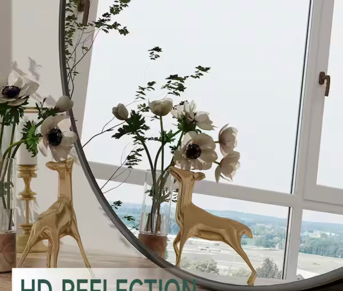 20 in. W x 20 in. H Round Aluminum Alloy Framed Black Wall Mirror