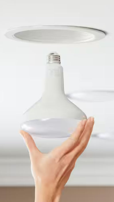 75-Watt Equivalent BR40 Dimmable LED Light Bulb Daylight (12-Pack)