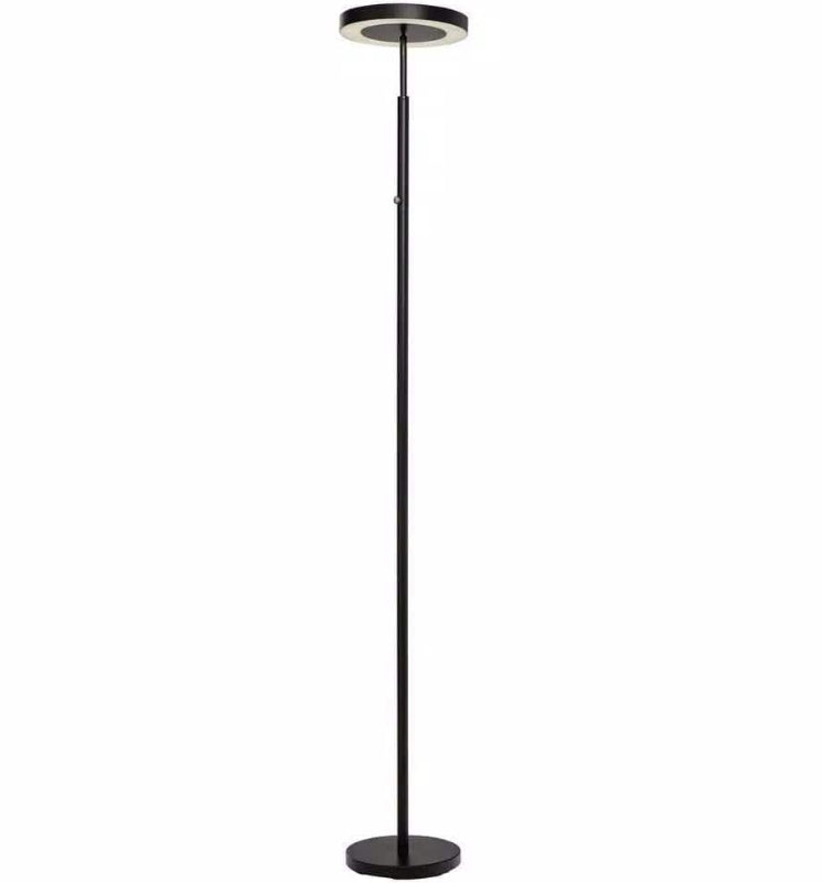 71.65 in. Black LED Floor Lamp
