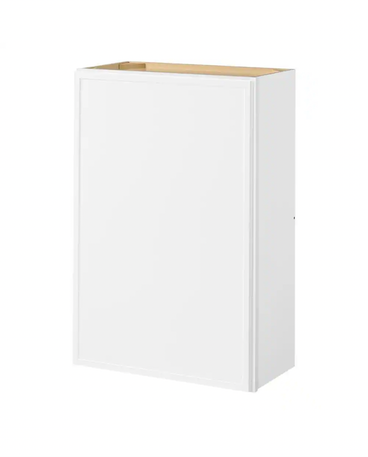 Leyton 24 in. W x 12 in. D x 36 in. H Ready to Assemble Plywood Slim Shaker Wall Kitchen Cabinet in Alpine White