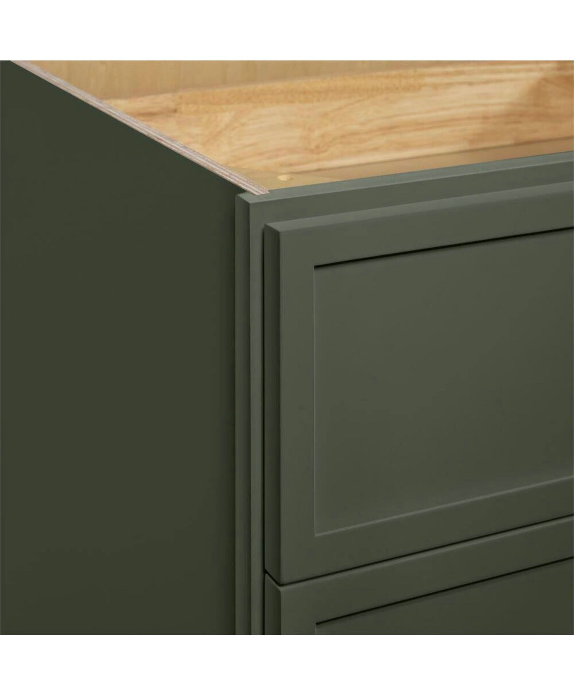 Leyton 27 in. W x 24 in. D x 34.5 in. H Ready to Assemble Plywood Slim Shaker Base Kitchen Cabinet in Fern Green