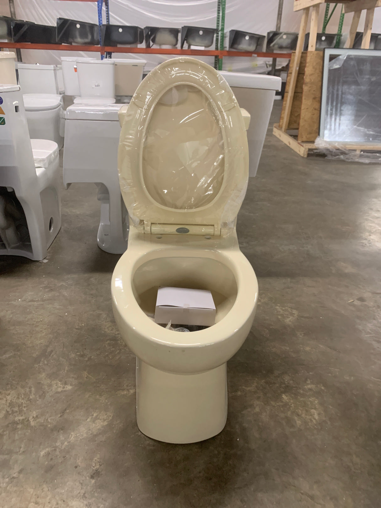 Classe 1-Piece 1.1/1.6 GPF Dual Flush Elongated Toilet in Bisque Seat Included