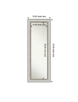 Large Rectangle Brushed Silver Hooks Modern Mirror (53 in. H x 19 in. W)