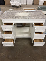 Thornbriar 48 in. W x 22 in. D x 34 in. H Bath Vanity Cabinet with Top in Polar White