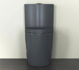 Reno 1-Piece 1.1/1.6 GPF Siphon Dual Flush Elongated ADA Chair Height Toilet in Charcoal Gray, Seat Included