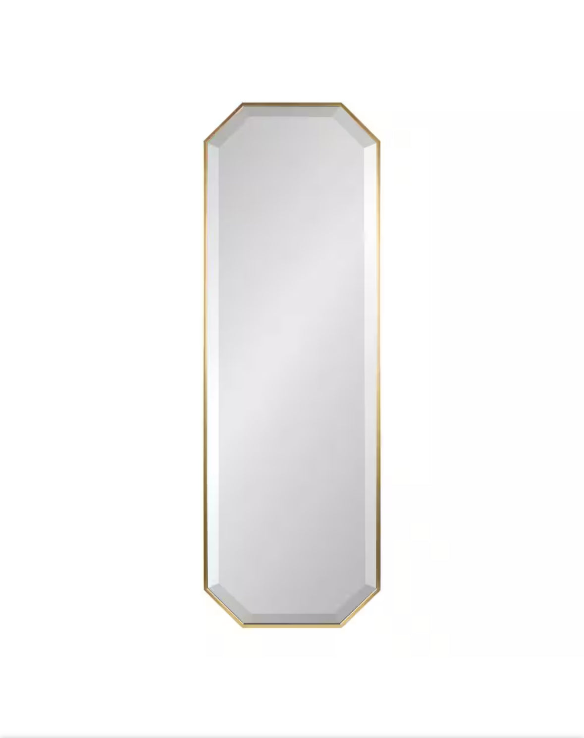Rhodes 48 in. x 16 in. Classic Octagon Framed Gold Wall Accent Mirror