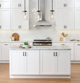 Avondale Shaker Alpine White Quick Assemble Plywood 24 in Base Kitchen Cabinet (24 in W x 24 in D x 34.5 in H)