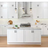 Avondale Shaker Alpine White Quick Assemble Plywood 27 in. Base Kitchen Cabinet (27 in. W x 24 in. D x 34.5 in. H)