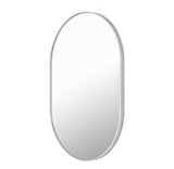 Medium Modern Oval Silver Framed Mirror (22 in. W x 32 in. H)