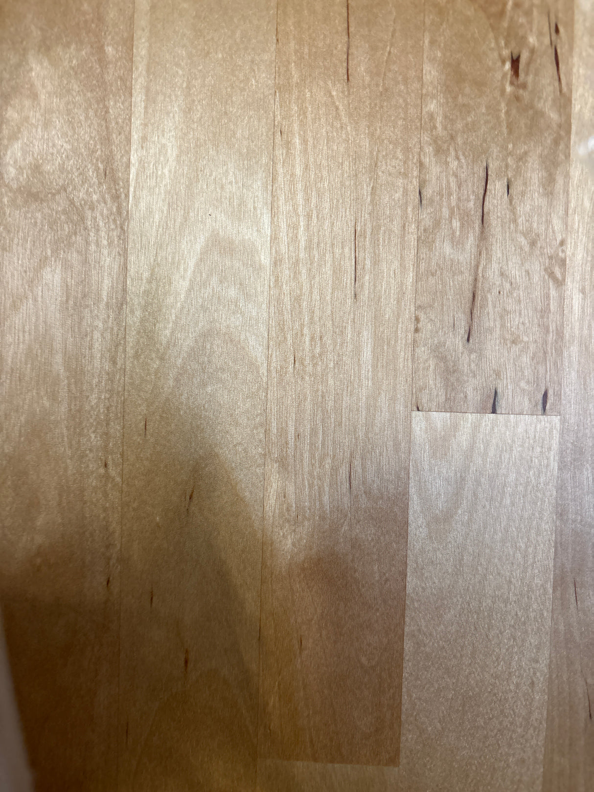 6 ft. L x 25 in. D Finished Engineered Birch Butcher Block Countertop