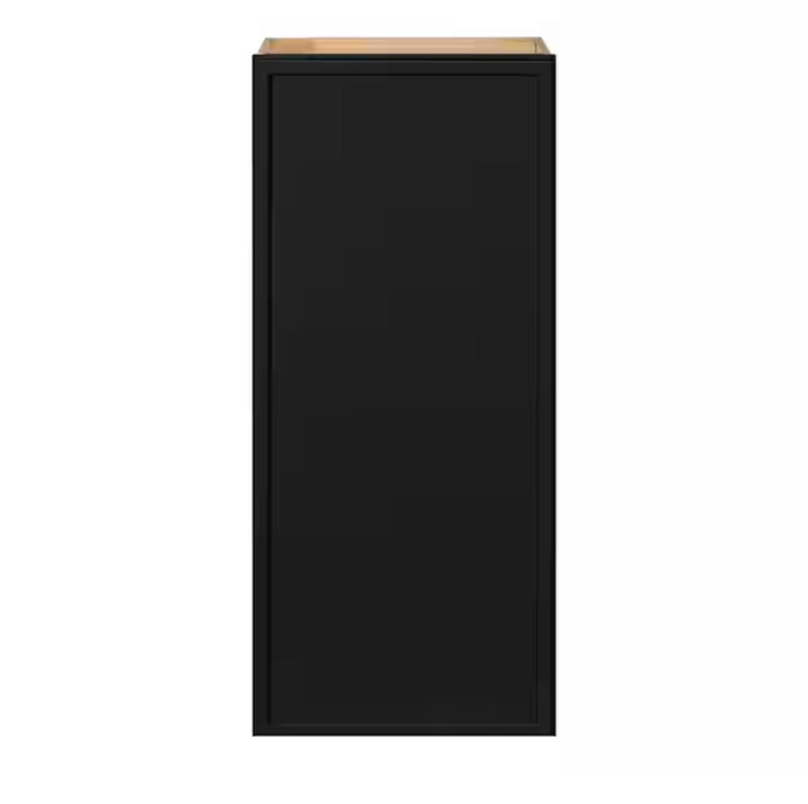 Leyton 18 in. W x 12 in. D x 42 in. H Ready to Assemble Plywood Slim Shaker Wall Kitchen Cabinet in Raven Black