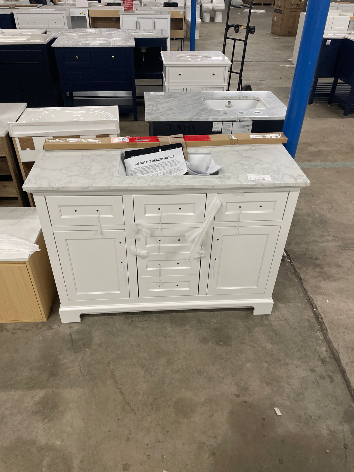 Doveton 48 in. W x 19 in. D x 34 in. H Single Sink Bath Vanity in White with White Engineered Marble Top
