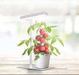 17 in. 14-Watt Vegetation Seeding Flowering White Integrated LED Indoor Table Top Plant Grow Light Fixture Daylight