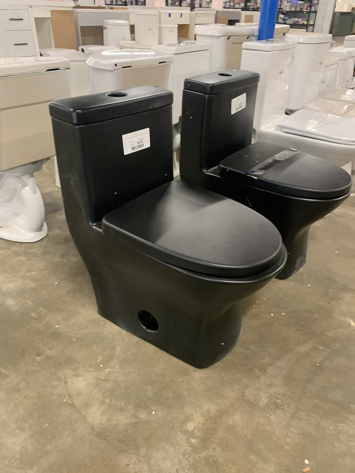 Sublime II 1-Piece 1.1/1.6 GPF Toilet Dual Flush Round Toilet in Matte Black Seat Included