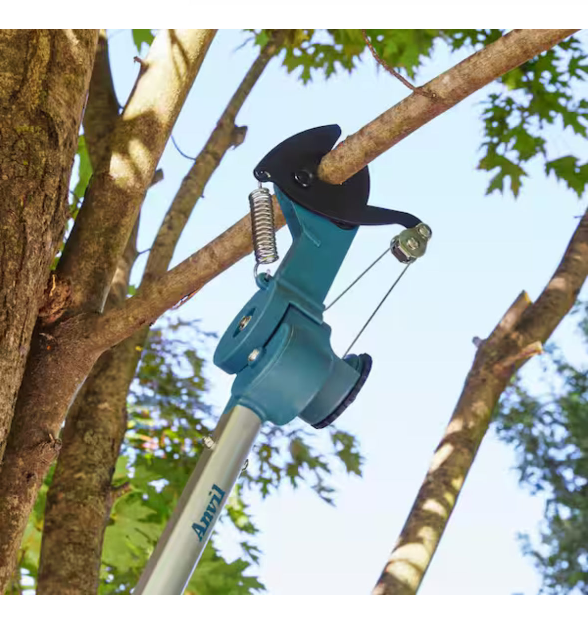 63 in. Tree Pruner