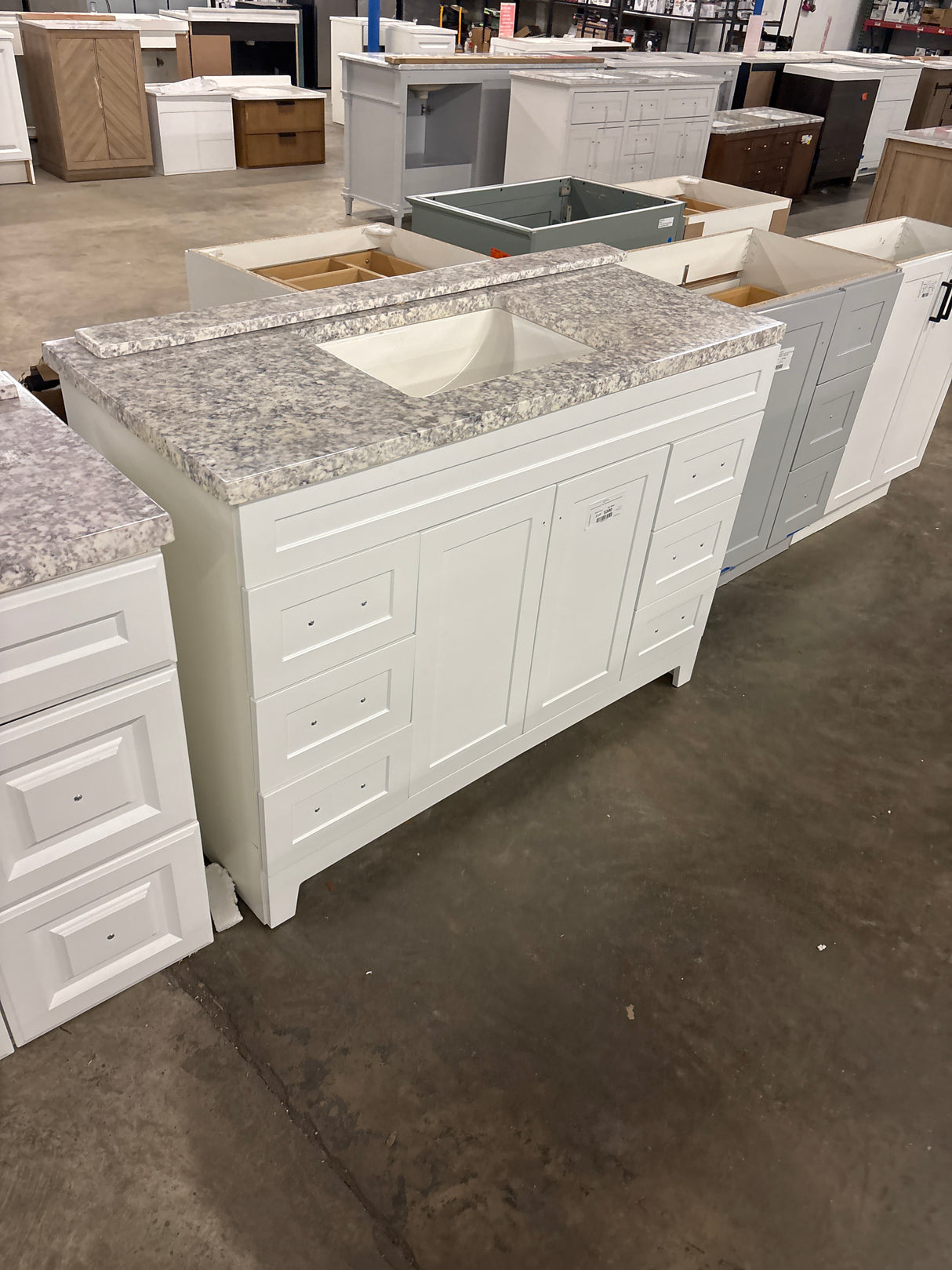 Thornbriar 48 in. W x 22 in. D x 34 in. H Bath Vanity Cabinet with Top in Polar White