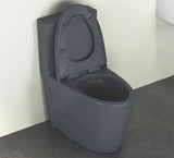 Reno 1-Piece 1.1/1.6 GPF Siphon Dual Flush Elongated ADA Chair Height Toilet in Charcoal Gray, Seat Included