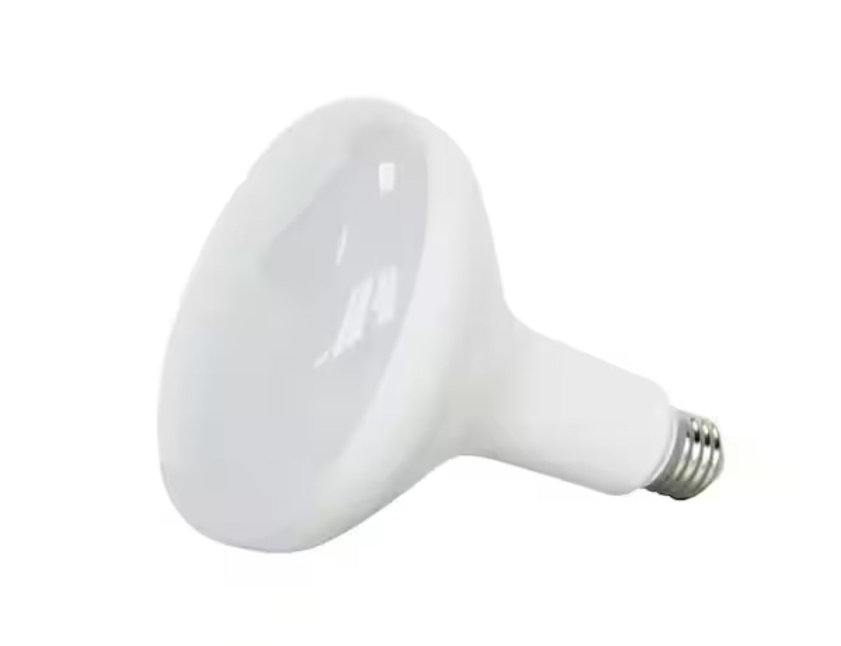 75-Watt Equivalent BR40 Dimmable Energy Star LED Flood Light Bulb Daylight (2-Pack)