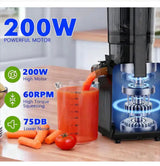 200 W 24 oz. Cold Press Juicer Machine, 4.35 in. Wide Feed Chute, Slow Masticating Juicer for Whole Fruits in Silver