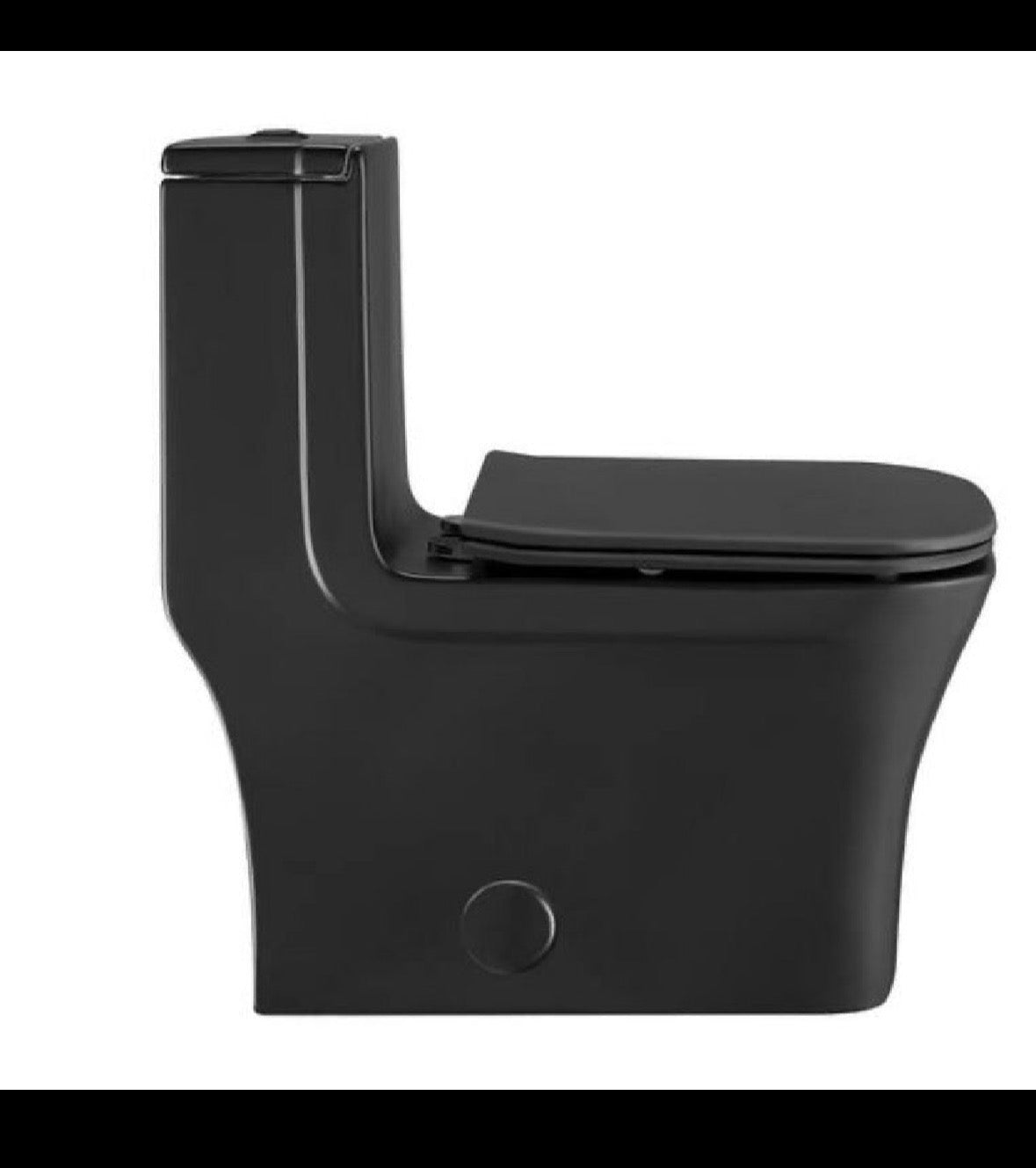 1-Piece Toilet 1.1 GPF/1.6 GPF Dual Flush ADA Height Elongated Toilet in Matte Black