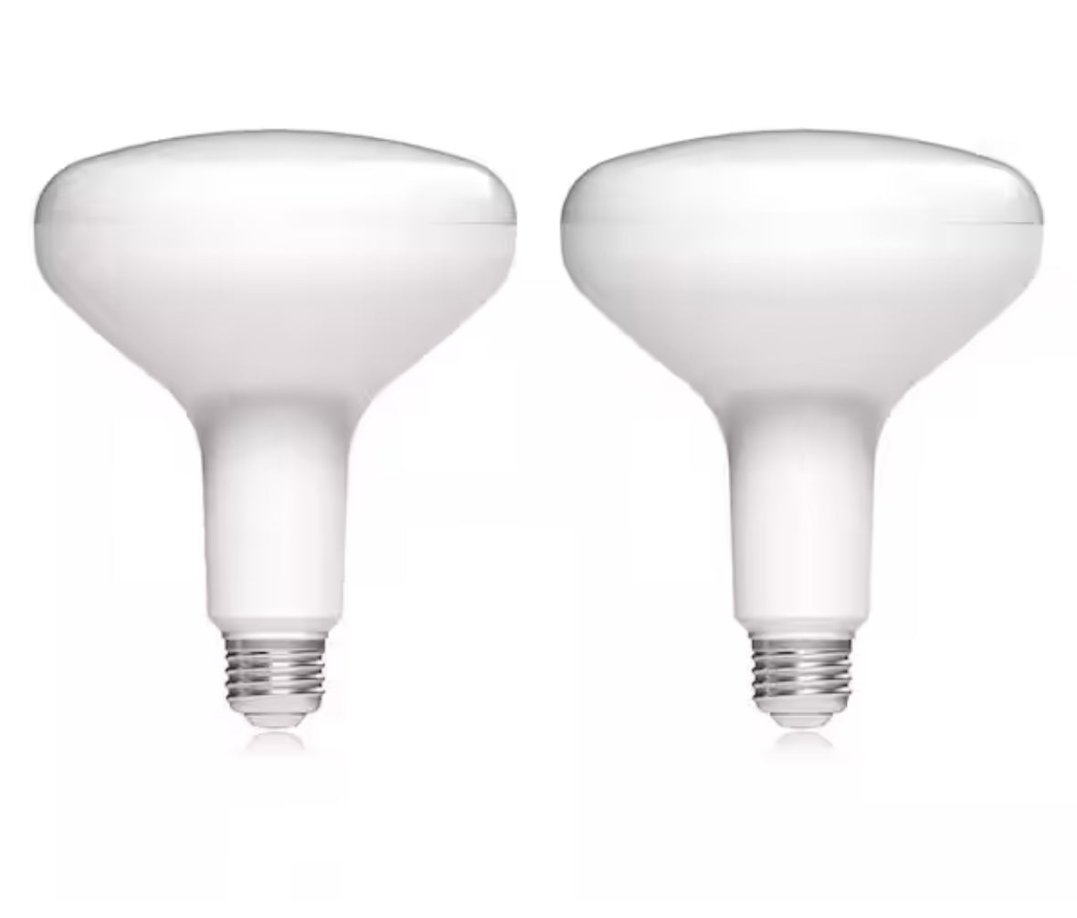 75-Watt Equivalent BR40 Dimmable Energy Star LED Flood Light Bulb Daylight (2-Pack)