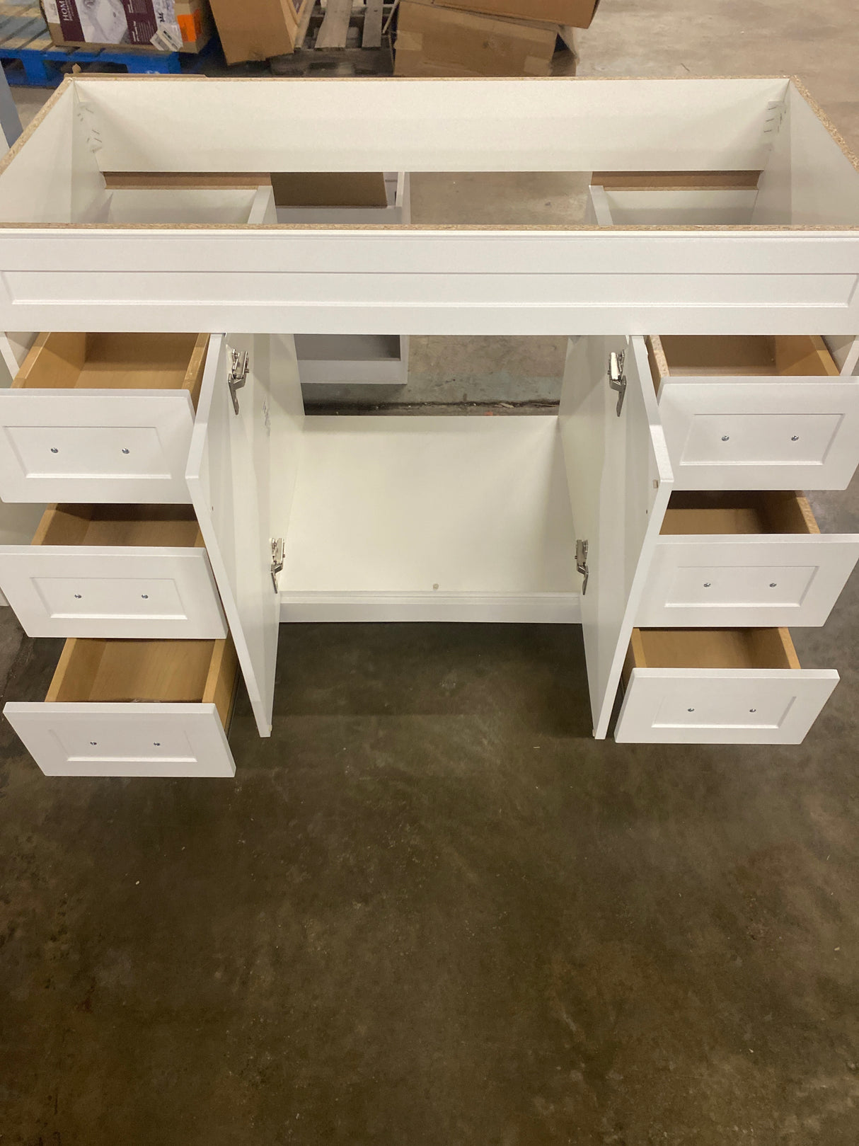 Thornbriar 48 in. W x 22 in. D x 34 in. H Bath Vanity Cabinet without Top in Polar White